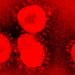 Actualizaciones de artículos de coronavirus - portada